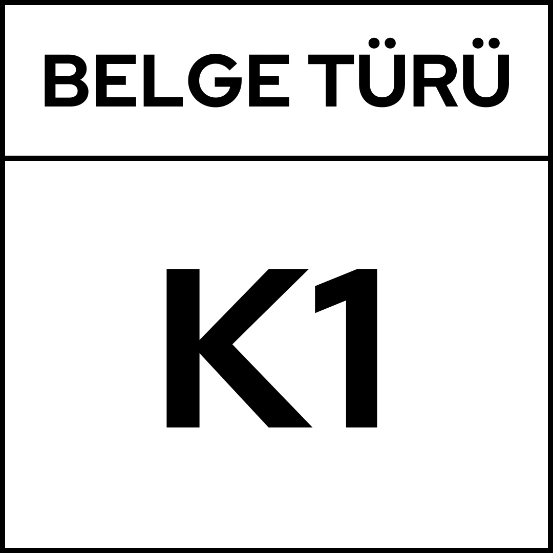 Doğuş Nakliyat K1 Yetki Belgesi